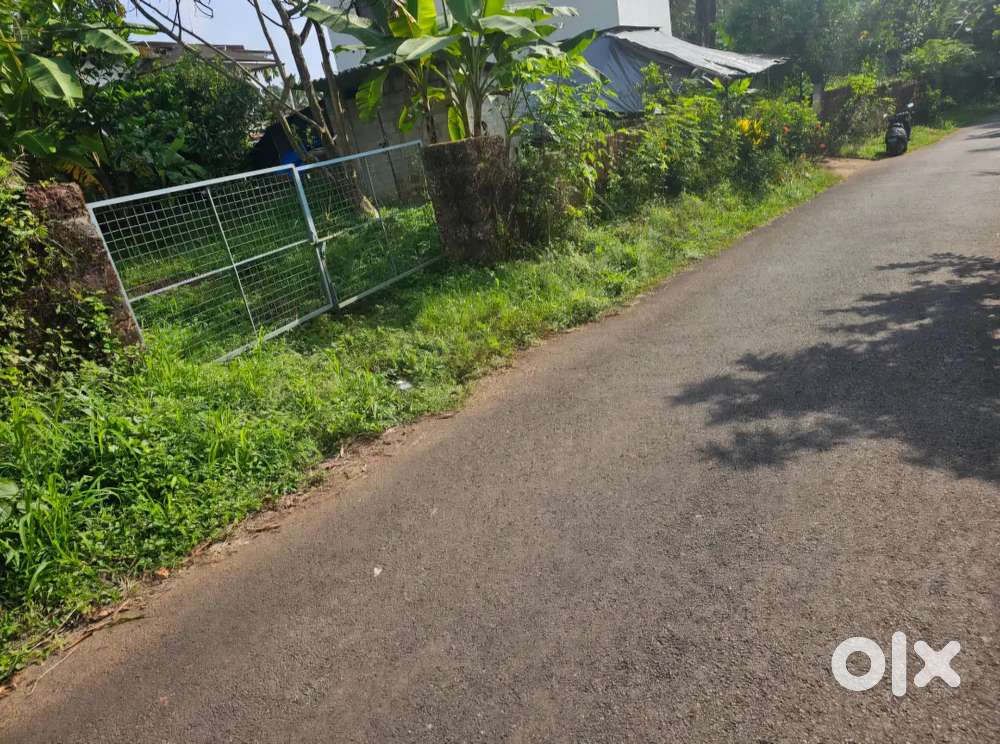 7 CENT HOUSE PLOT - PALLIKUNNU - PODIKUNDU - KANNUR TOWN - 7 LAKH