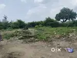 Plot bechna hai bina me
