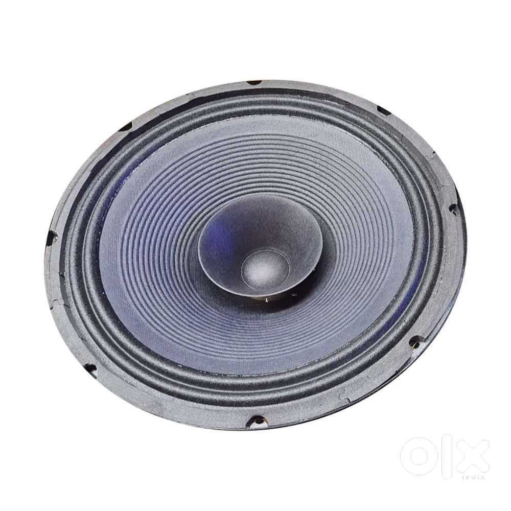 12 inch speaker