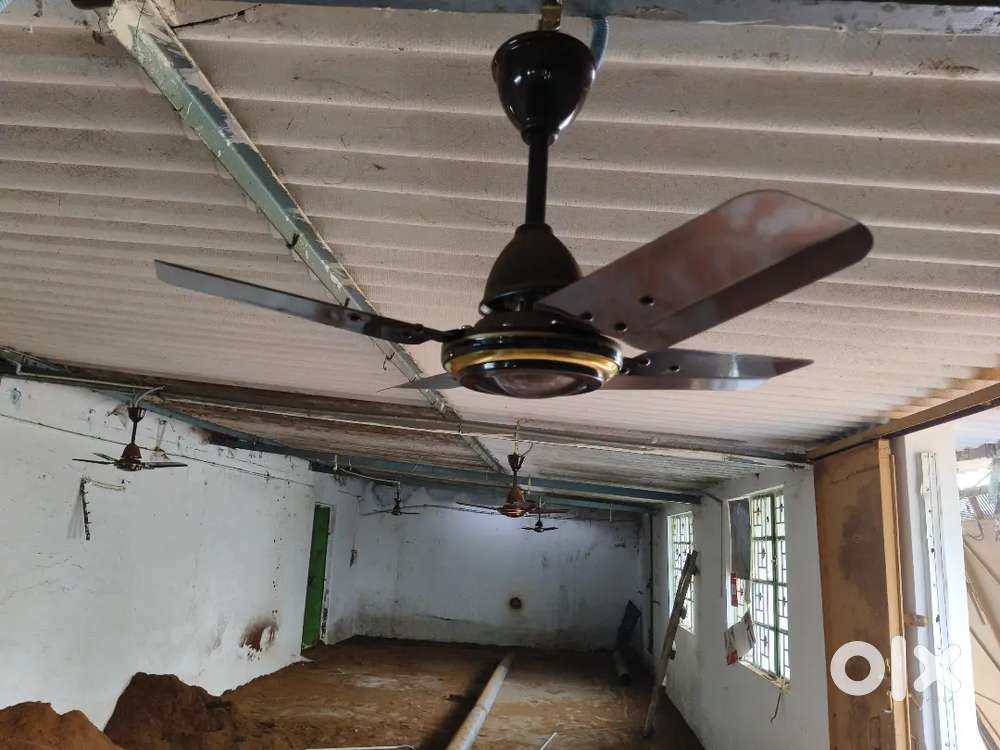 Ceiling fan small size