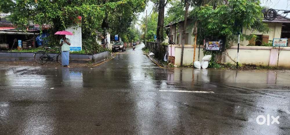 Square plot for sale in Pazhaveedu, Alappuzha - 10 Cents