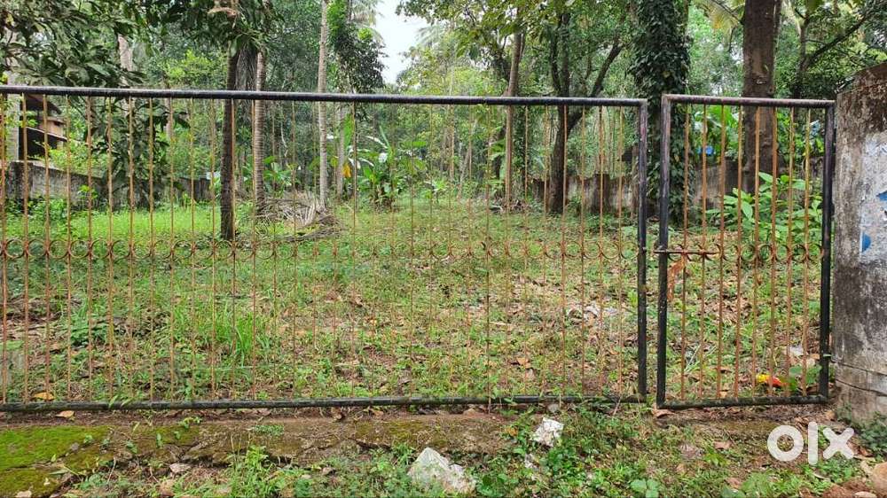 Plot for sale - Kalluvathukkal, Elamkulam, Mevanakonam Cheri