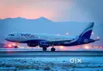 We are hiring for indigo airlines apply fast