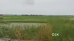 Plot for investment