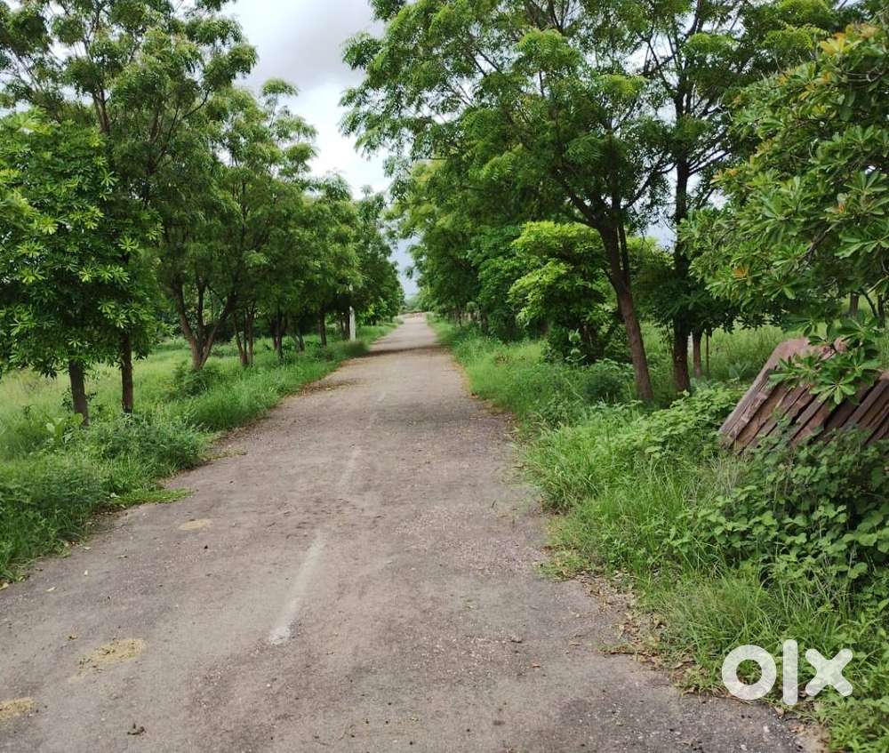 1100 Yards Big Farm House For Sell In Rampura, Mathaniya