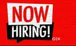 Filed Sales Executive