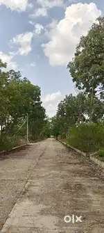 Plot for sale