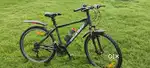 HERCULES ROADEO MTB Mint condition On best price