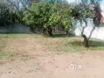Auroville Location farmland for sale Near toll Gate