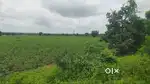 commercial land