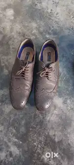 Puma Casual & Brown formal shoes for SALE.