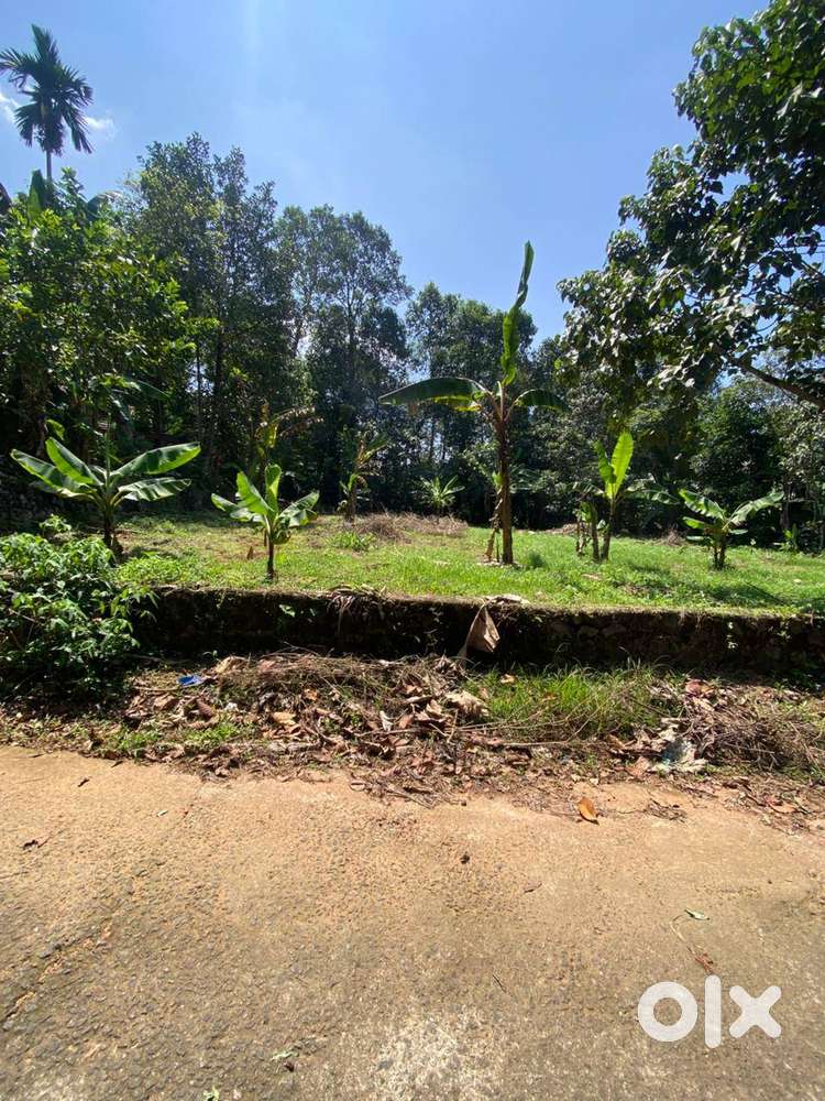 25 CENT PLOT FOR SALE FOR HOUSE CONSTRUCTION