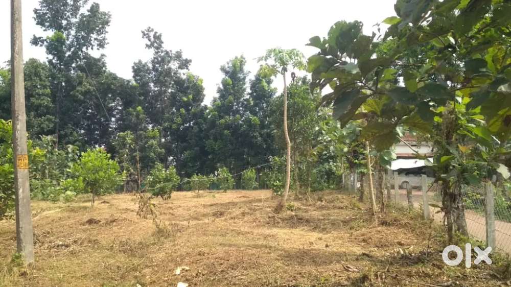 20 cent - Residential Land for Sale Mambad, Nilambur, Malappuram