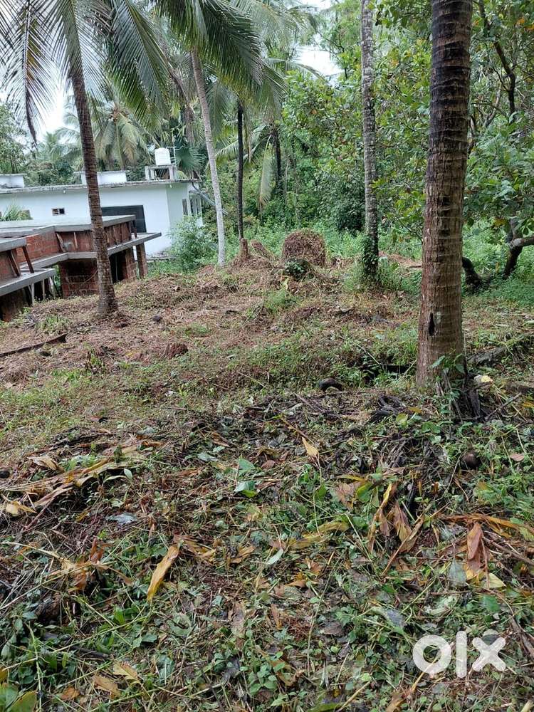 Plot for sale naduvannur