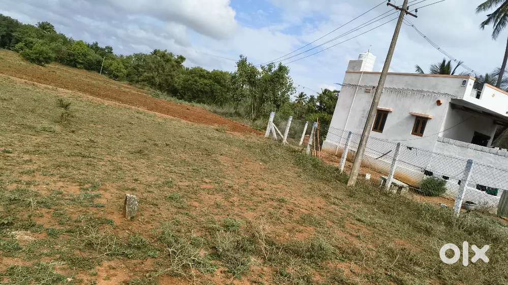 புதுப்பாளையம்,