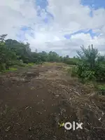 20 cent Housing Plot For sale at Perigome
