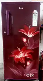Lg Single Door Fridge