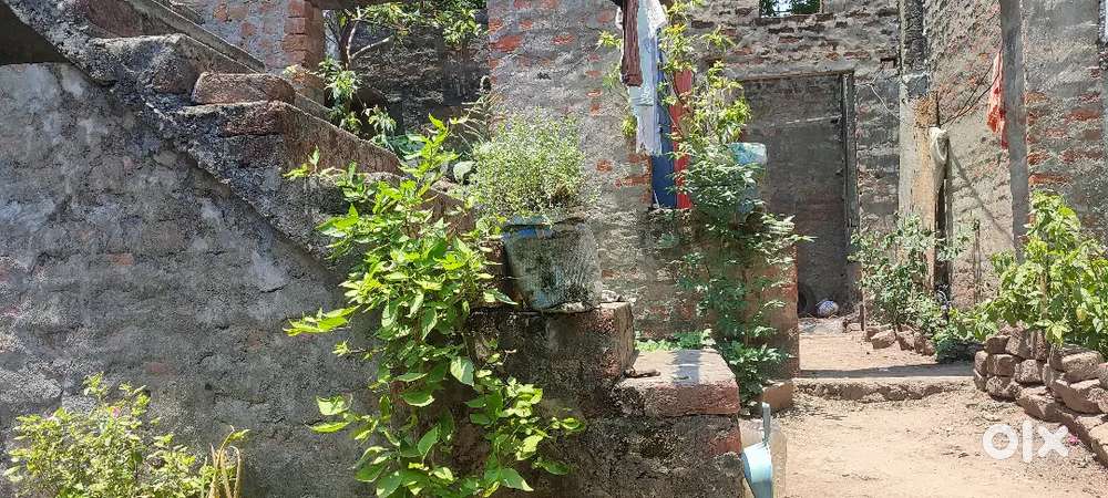 పెద్దాకుల వీది, near( KARJI VEEDI), ఇచ్చాపురం