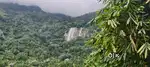 3.5 Acres Land For Sale Munnar