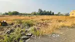 100% CLEAR TITLE AND NA PLOTS
