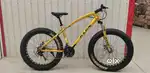 Axan Fat Bike Cycle