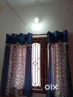 Window Curtains With Free Gift