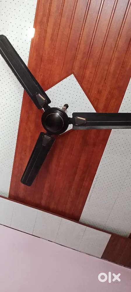 Crompton siling fan
