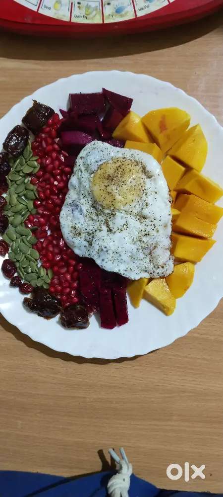 Home Chief /Home Cook