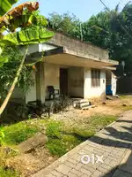 5 Cent purayidam with old house for sale at Marad.