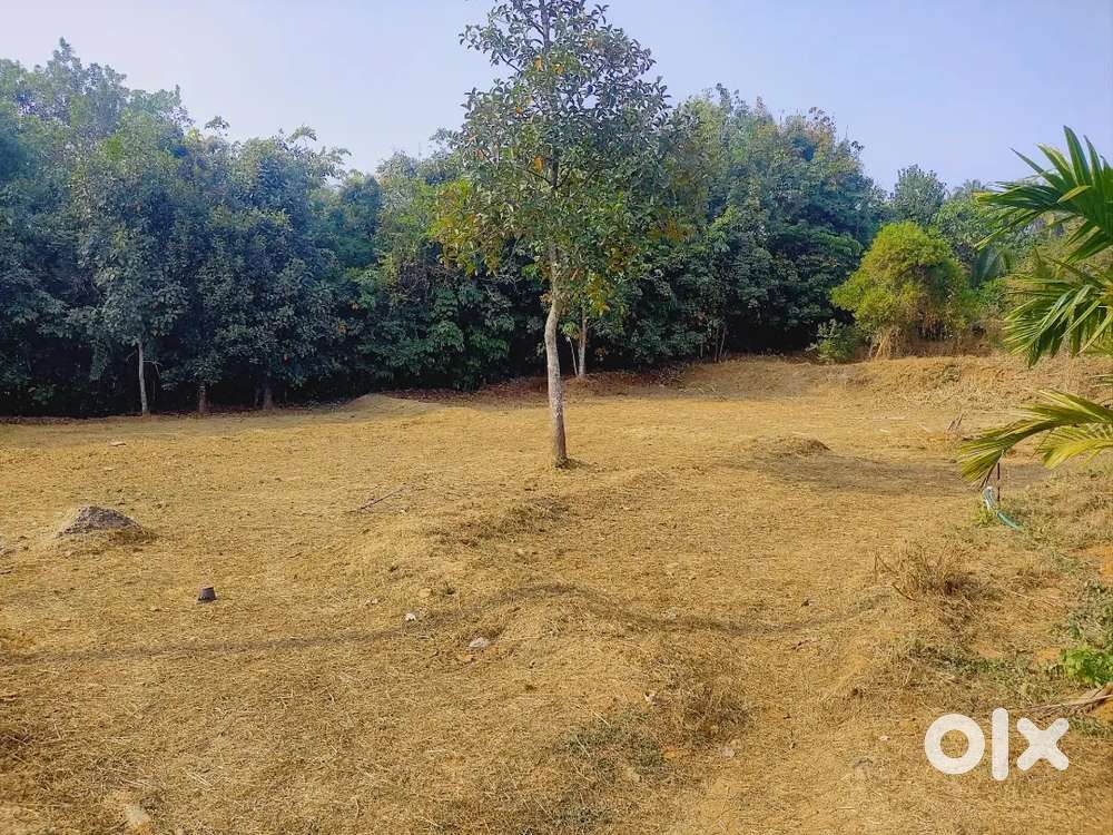 Flood-Proof Land Plots Available – Reduced Price Sale