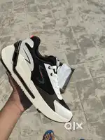 Campus shoes
