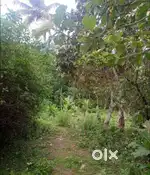 11.5 cent plot for sale at Kattappana