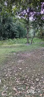 2.5 kotha myadi land