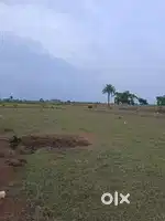 Diverted plots for sale new raipur gujra