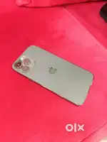 iPhone 13 pro max