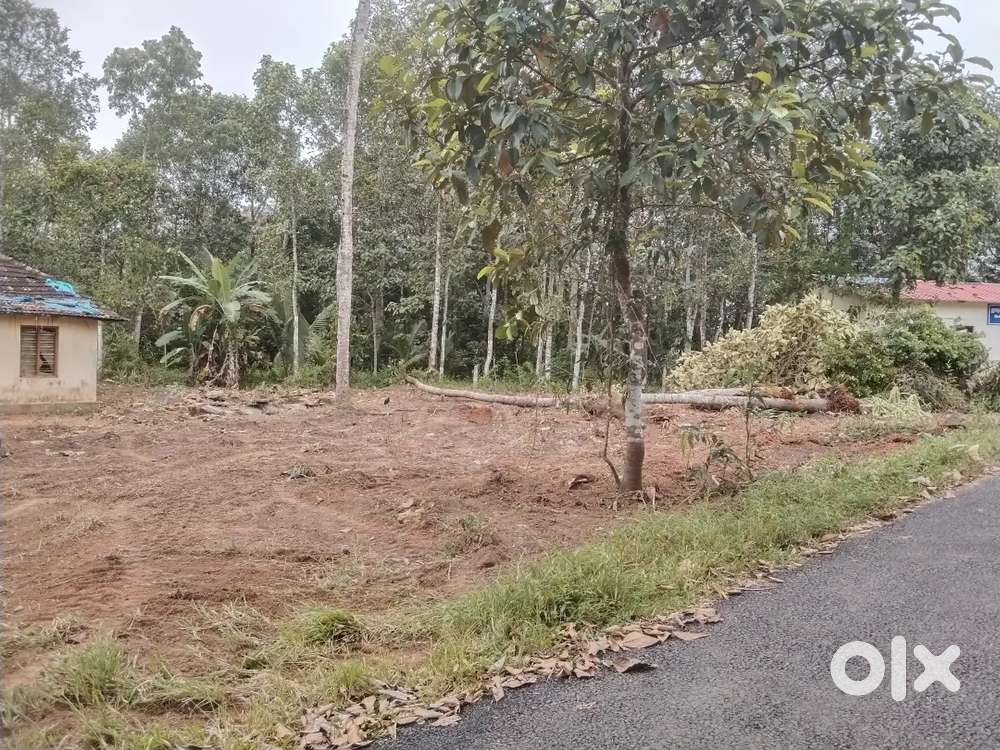 Land for sale at Elavumthitta