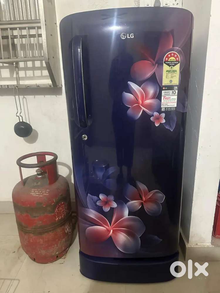 New Fridge and all kitchen items