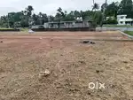 HOUSE PLOTS KAKKANAD KANGARAPADY