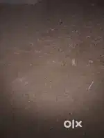 Paise ki jaruvat