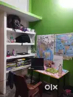 Need a girl room partner