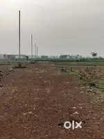 Vindhne plots near by local station