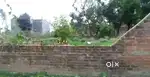 Plot for home