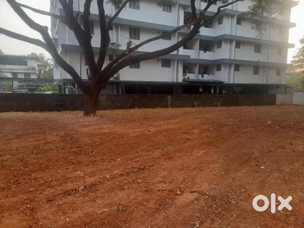 Kakkanadu seaport road near 40cent 6metr road land for sale