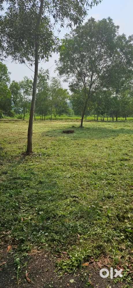 8 cent Housing Plot at Pariyaram Embet