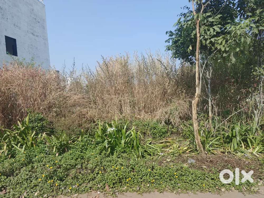 Sumit landscape vidhansabha me East facing plot