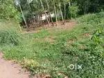 Tvpm പ്രാവിച്ചമ്പലം നരുവമൂട് Residential Lory Plot 5 & 4.5 cent