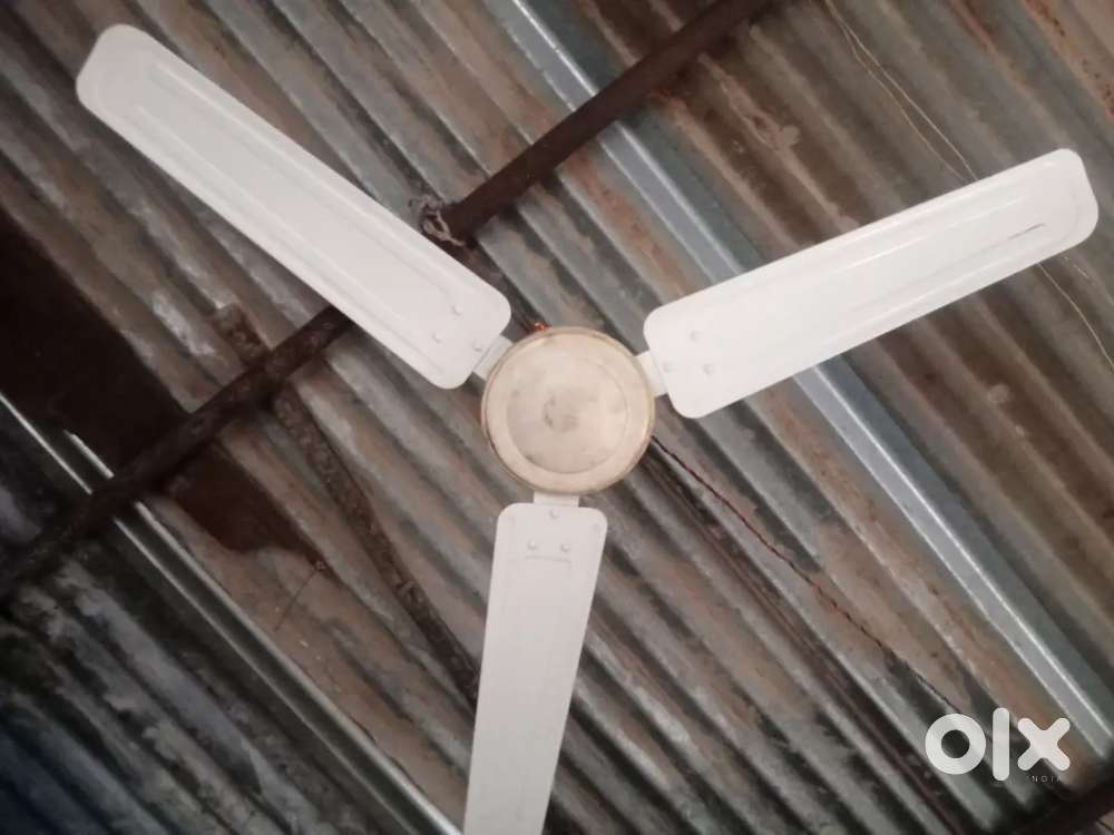 Orient company ka pankha hai running condition mein