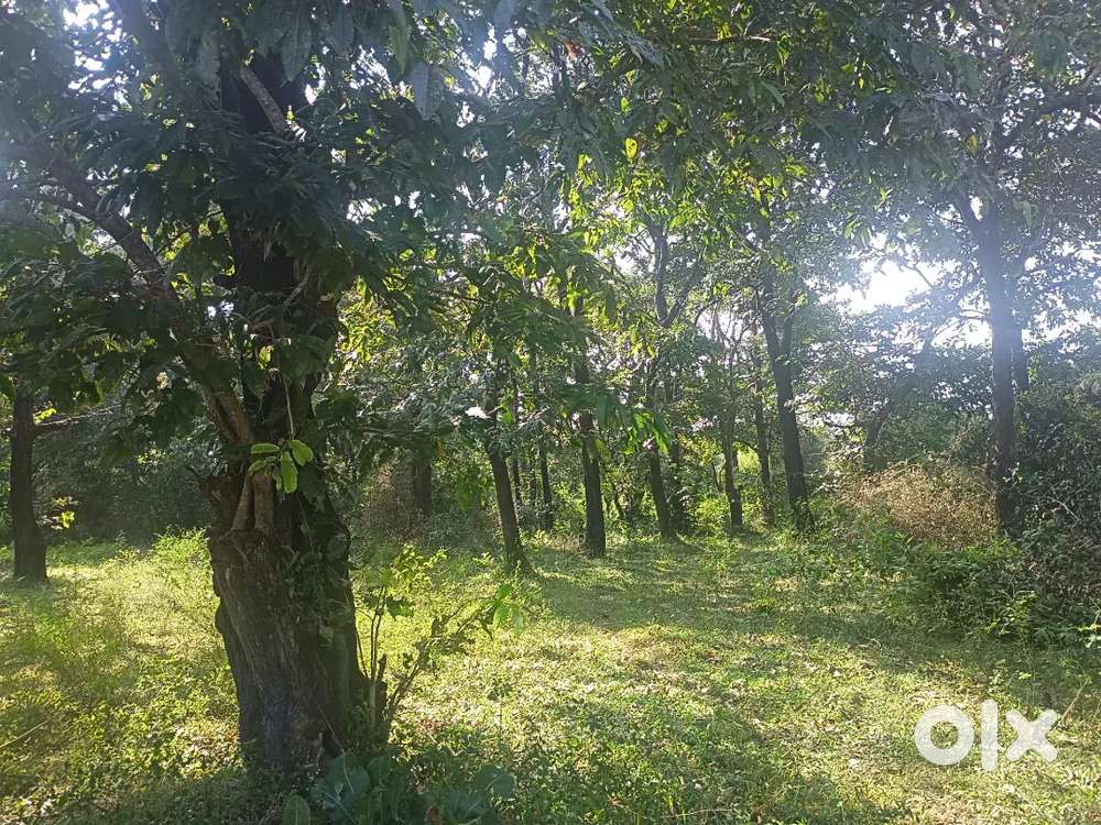 owner 1 agriculture land