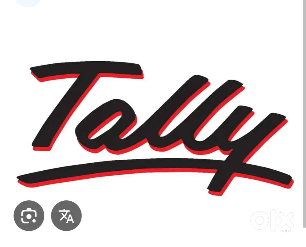 Tally Assistant Accountant