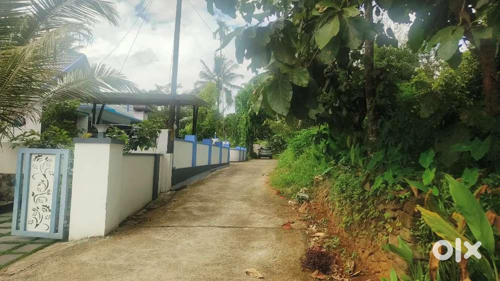 Kothamangalam Pindimanap